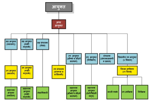 Organization Chart